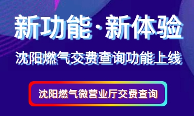 示劍助力沈陽燃?xì)饨毁M(fèi)查詢功能成功上線