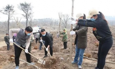 示劍助力沈陽市人大青工委“云植樹”，守護祖國的青山綠水！